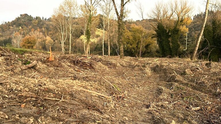 Natura e fauna, è nata delegazione Lipu della Provincia di Forlì-Cesena