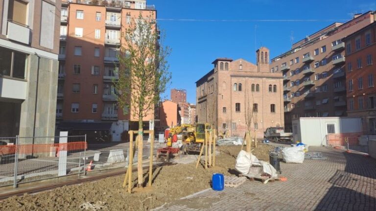 Nuovo Tram Bologna: già messe a dimora 433 alberature lungo la Linea Rossa