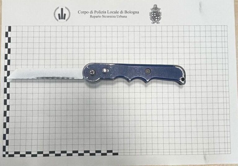 Bologna, ruba alcuni zaini da un furgone in via Gobetti,  ladro individuato e denunciato