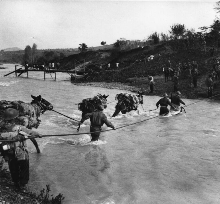 Forlì, 80° liberazione: incontro organizzato da Comitato di Quartiere 3 e Auser 