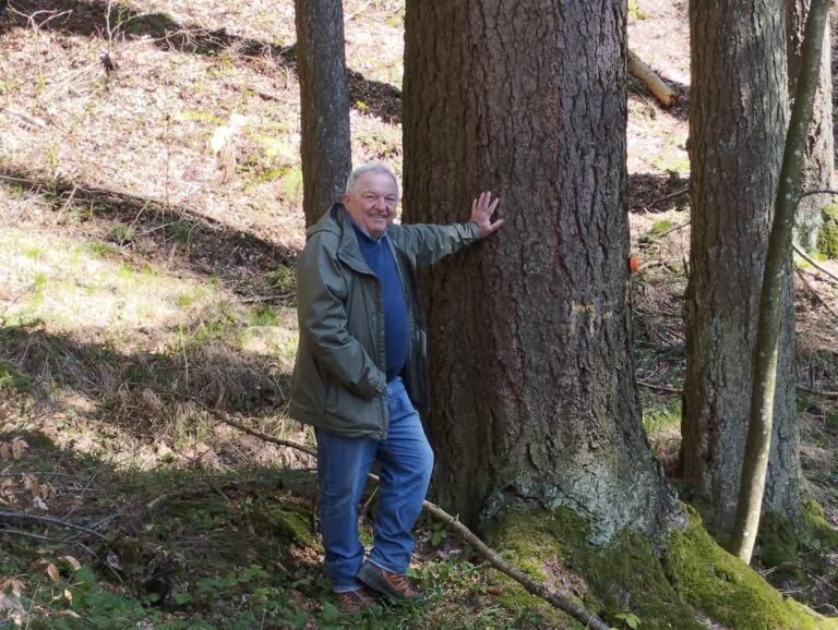 Natura e turismo, a Premilcuore in ottimo stato le piante di Duglasia