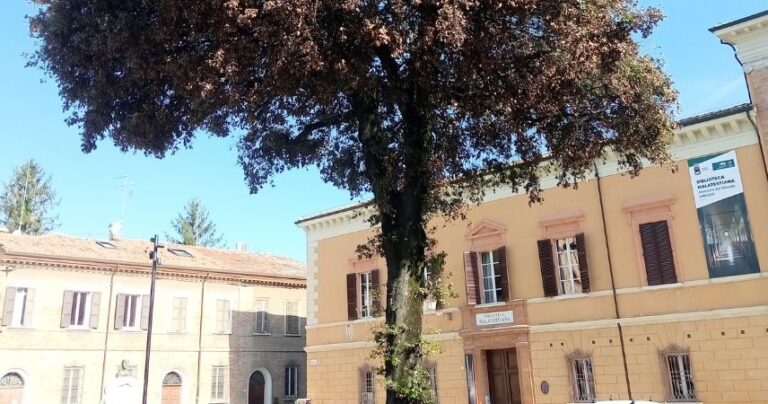 Cesena, trattamenti a favore degli alberi attaccati dalla cocciniglia