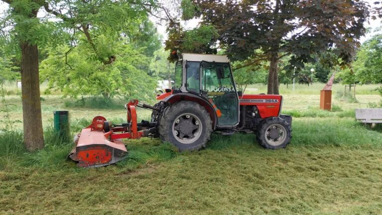 Cesenatico, al via gli sfalci dell’erba nella Pineta di Zadina e al Parco di Levante