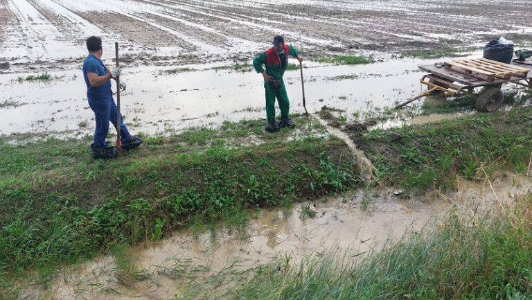 Danni da alluvione, dopo due anni risarcimenti al 50% per le coop agricole braccianti
