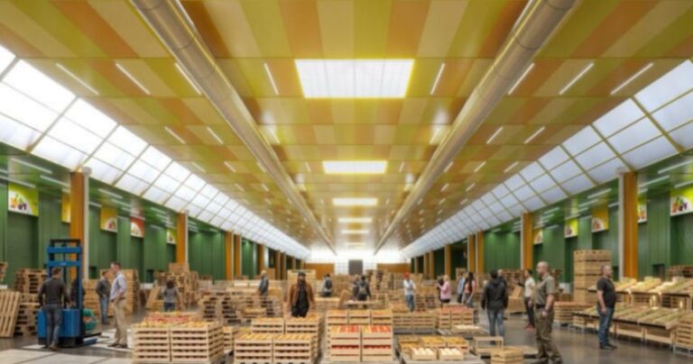 Cesena, aggiudicati alla ditta C.A.I.E.C. i lavori di climatizzazione e digitalizzazione del Mercato ortofrutticolo