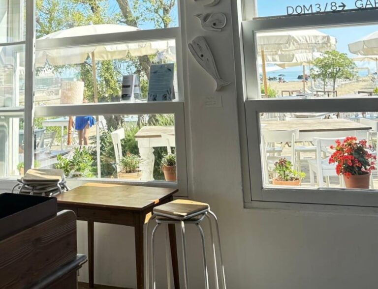 Al via progetto di collaborazione “Balene in Maré” a sostegno delle attività del Centro Diurno “La Meridiana” di Cesena