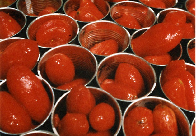 pomodoro in scatola