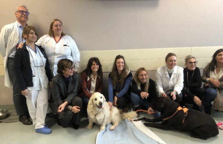 Sanità. Animali d’affezione dei degenti accolti nella Medicina d’Urgenza di Ravenna