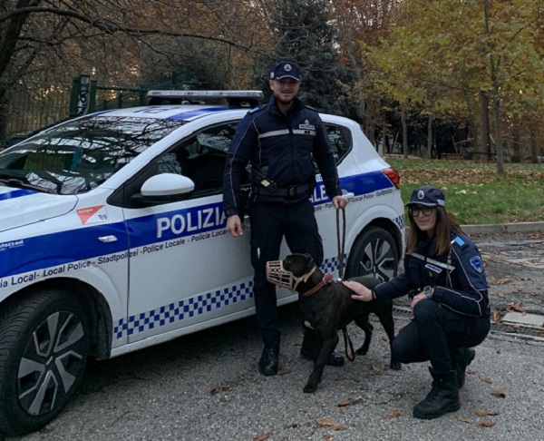 Polizia Locale di Bologna recupera un cane abbandonato vicino al parco della Montagnola 