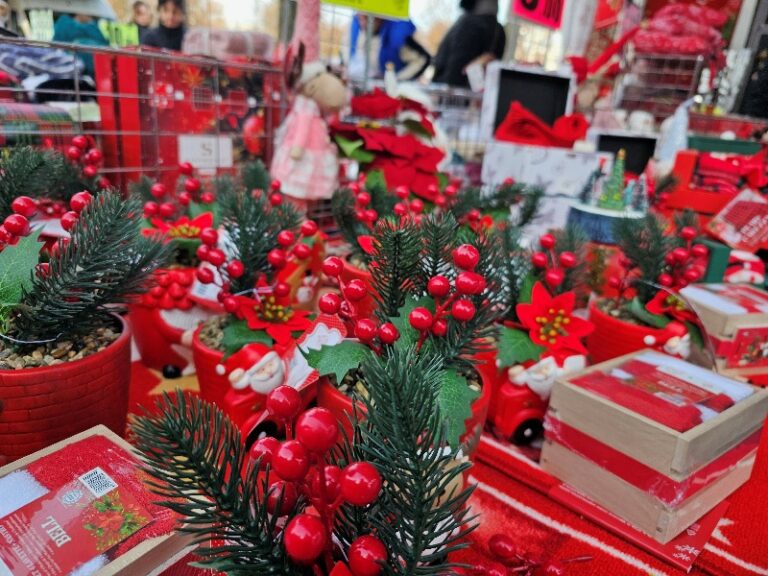 Modena, la domenica che precede il Natale shopping al Mercato del Parco Novi Sad