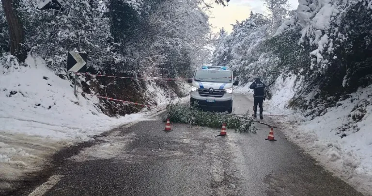 Neve a Cesena, il Comune: situazione sotto controllo sull’intero territorio comunale