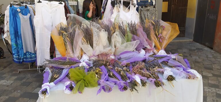 A Cesena il solstizio accende la Festa di San Giovanni